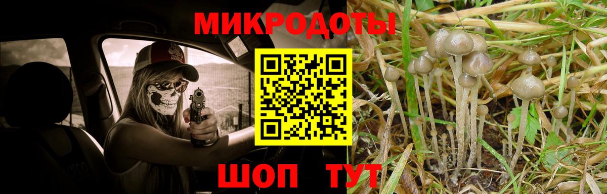 Псилоцибиновые грибы MAGIC MUSHROOMS  дарнет шоп  Кандалакша  Вход с VPN 