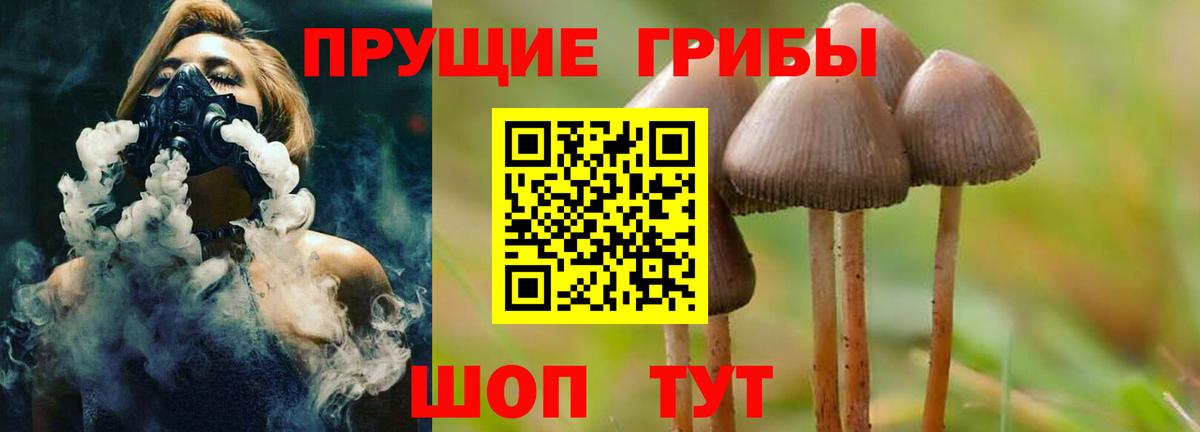 Галлюциногенные грибы мицелий Кандалакша